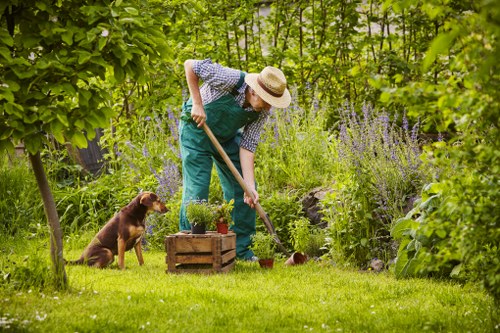 Gardeners Hanwell team at work in a residential garden