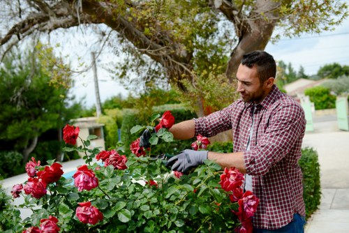 Gardener at work in a residential garden with tools and safety gear