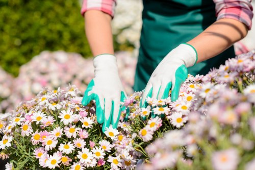 Close-up of protective gloves, boots, goggles and other PPE for gardeners
