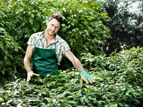 Tools and equipment used for garden clearance in Hanwell