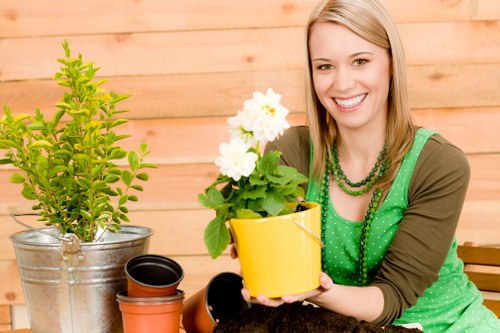 Professional garden maintenance service at work in Hanwell