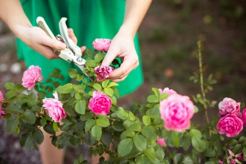 Gardening crew removing green waste from a Victorian garden