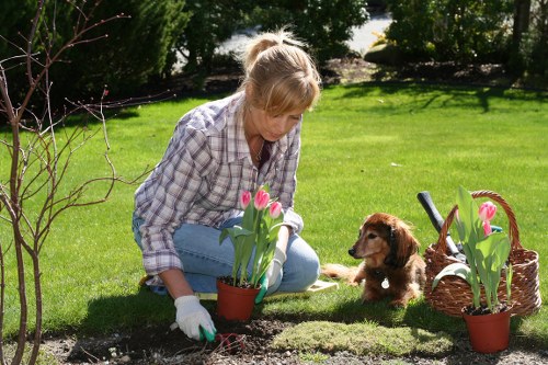 Eco-friendly lawn mowing practices