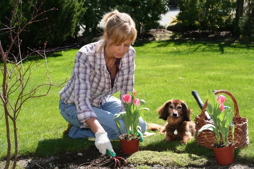 Sustainable gardening practices in a Hanwell backyard